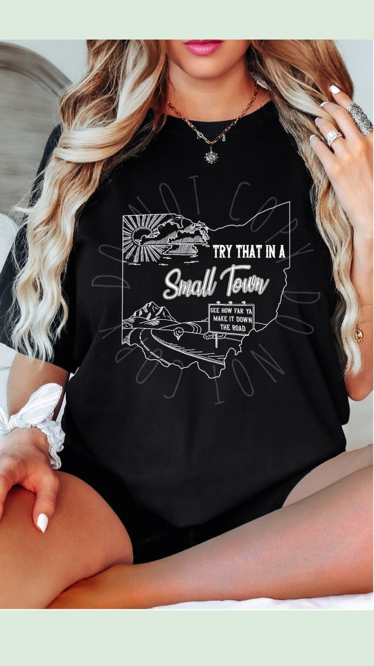 Try That In A Small Town State Shirt