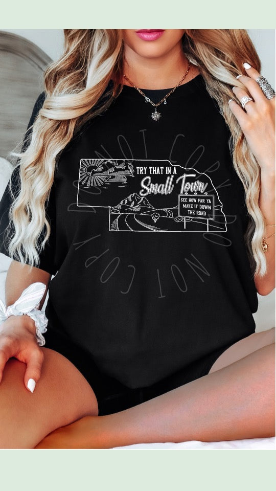 Try That In A Small Town State Shirt