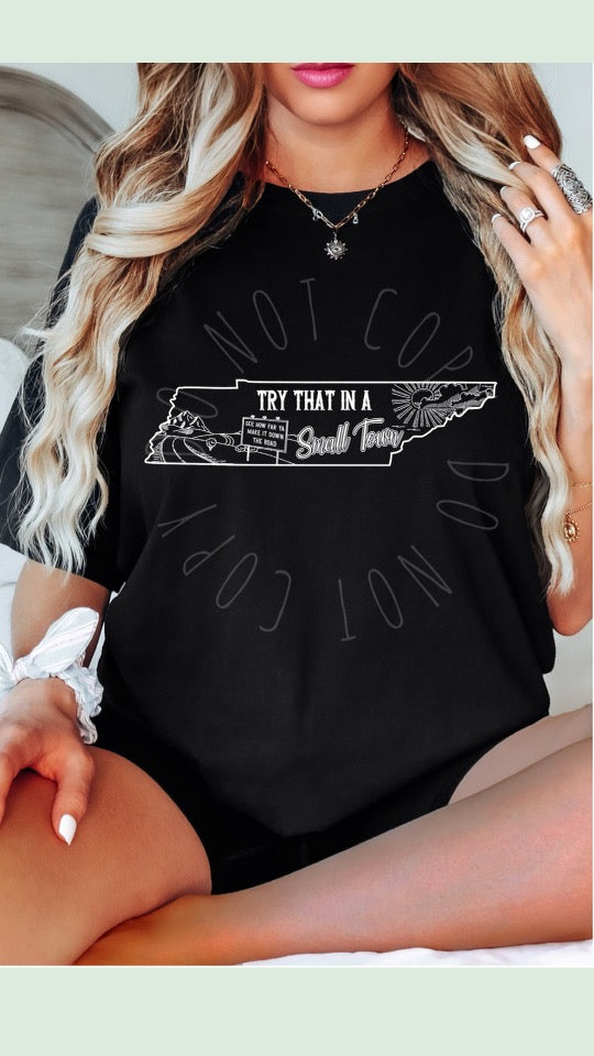 Try That In A Small Town State Shirt